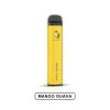 Gunnpod 2000 Puffs Disposable Vape Kit